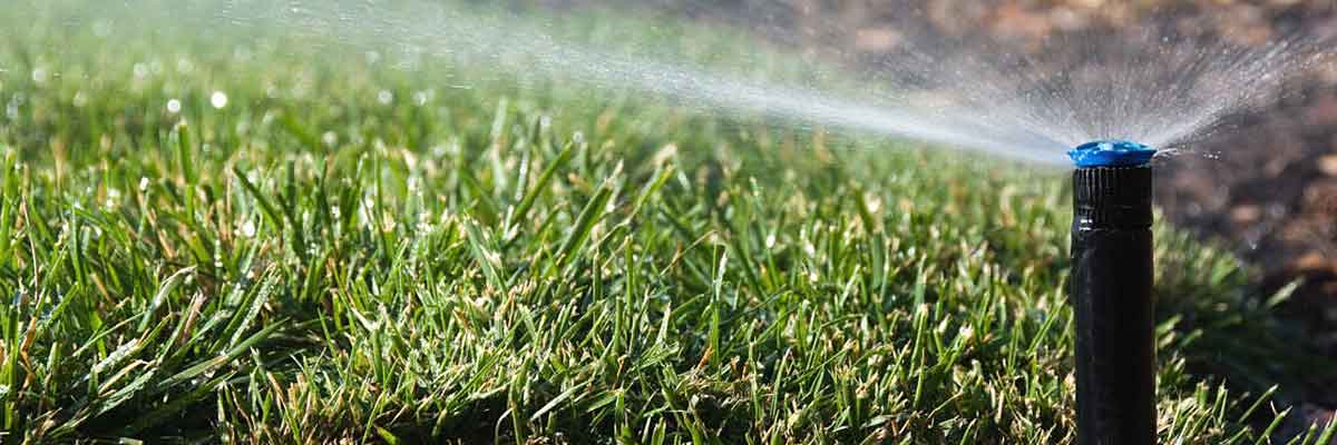 sprinkler inspection 1