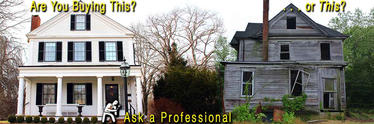 you need home inspection professionals